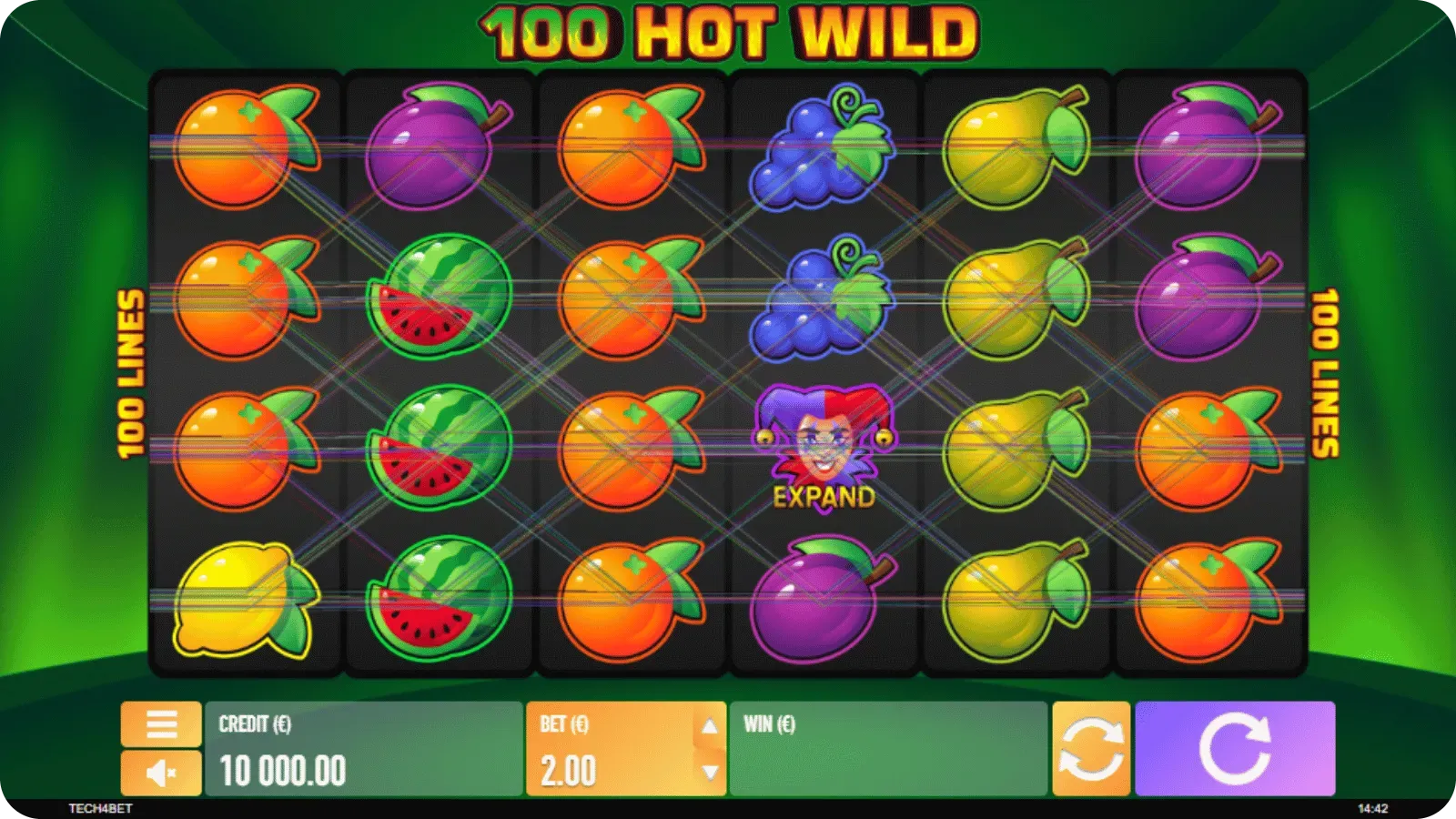 100 Hot Wild hrací automat